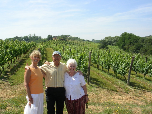 Acres of vineyards below the Villa from Author Ian Kent